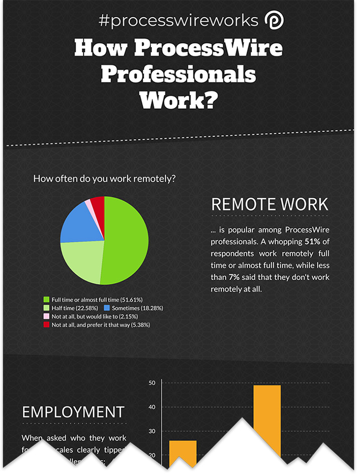 processwireworks-infographic-preview-1.jpg